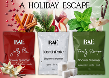 Load image into Gallery viewer, Santa's Spa Shower Steamers 6 Pack