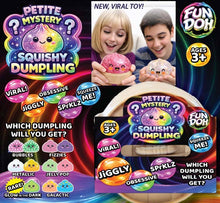 Load image into Gallery viewer, Fun Doh Squishy Mystery Mini Petite 2.5" Dumpling Toy
