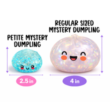 Load image into Gallery viewer, Fun Doh Squishy Mystery Mini Petite 2.5" Dumpling Toy