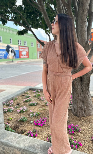 Rose Gold Mesh Jumpsuit
