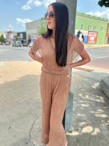 Rose Gold Mesh Jumpsuit