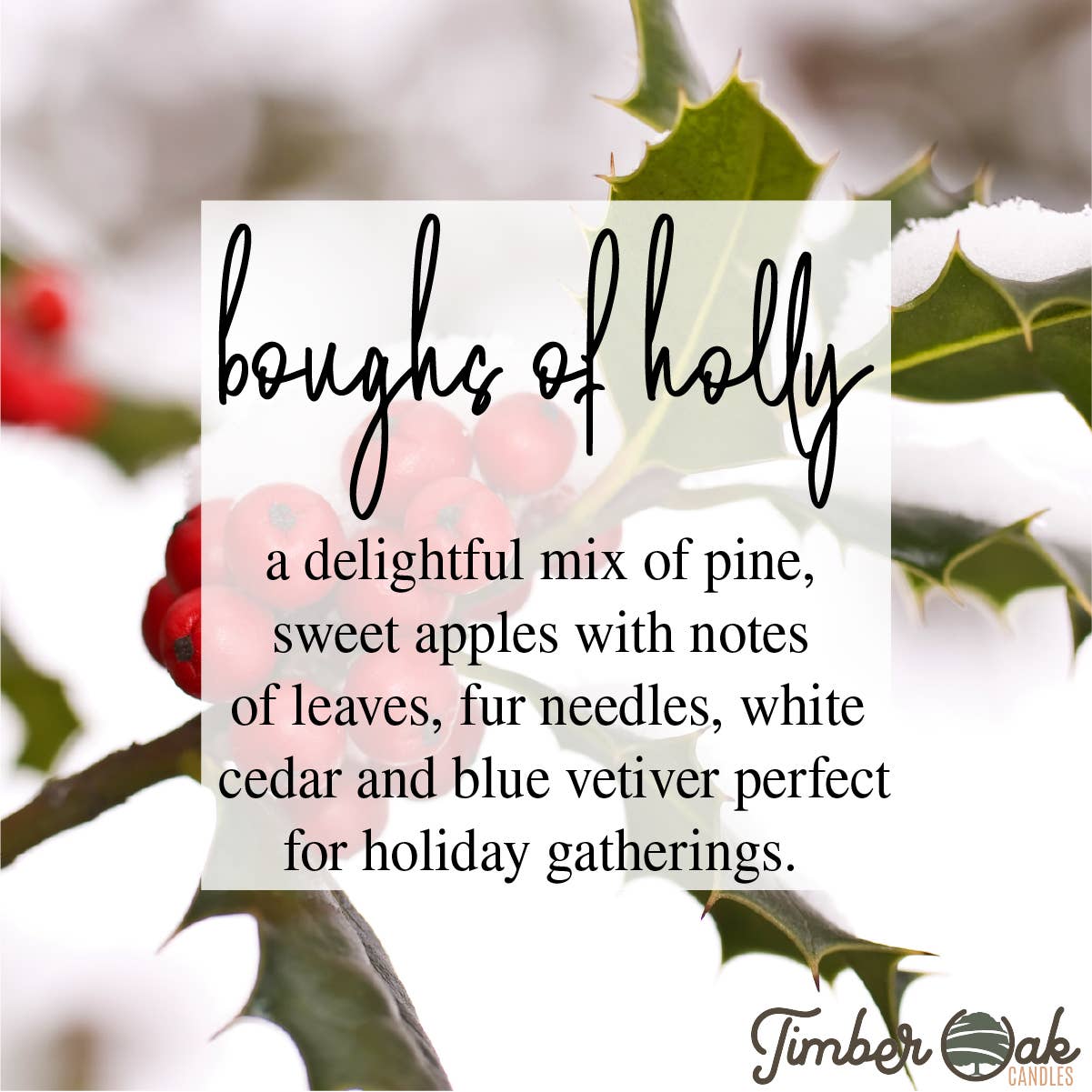 Boughs of Holly 100% Pure Soy Candles