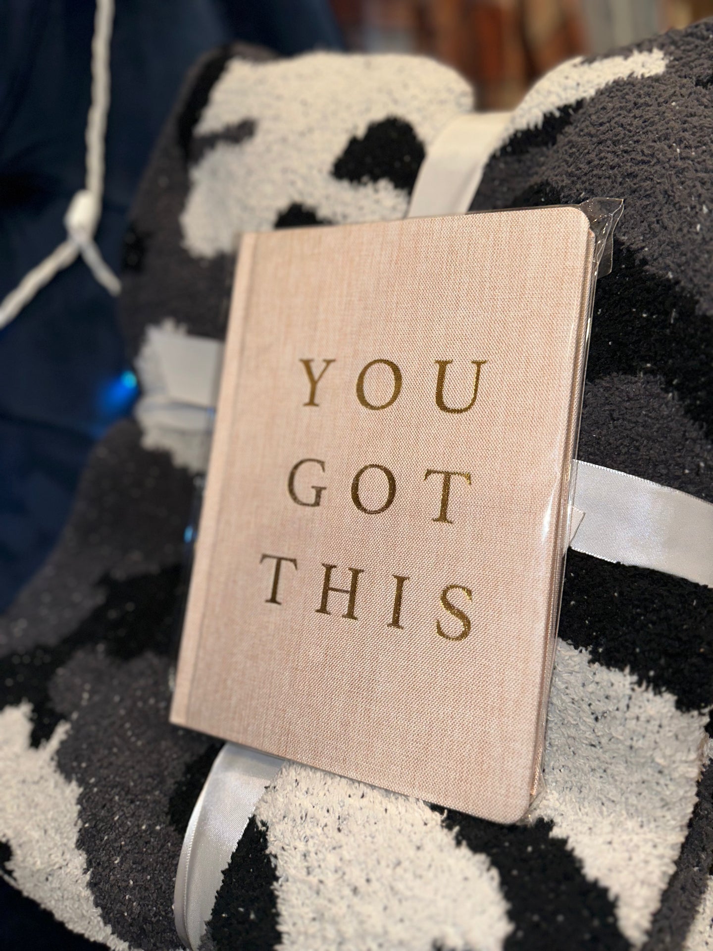 You Got This Journal